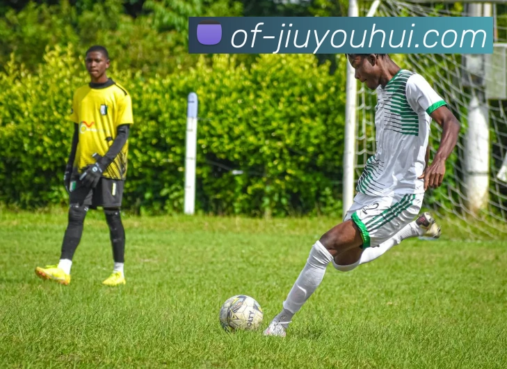 九游会J9官网APP 封面图